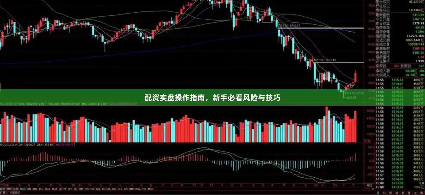 配资实盘操作指南，新手必看风险与技巧