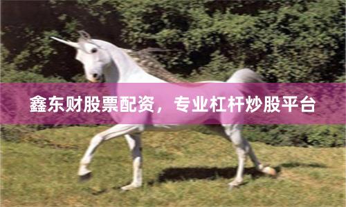 鑫东财股票配资，专业杠杆炒股平台